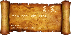 Reinisch Bálint névjegykártya